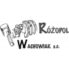 "Różopol-Wachowiak" S.C. S. Z. Wachowiak D. Gruszka - Reparatur von Industriemotoren - polnische Firma