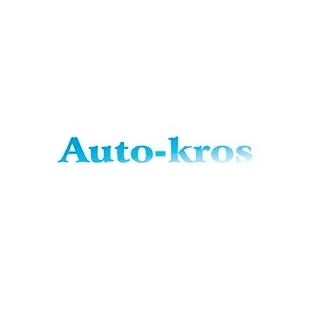 Auto-Kros Verkauf von gebrauchten Ersatzteilen für Lieferwagen aller Marken, Autoteile für Lieferwagen - polnische Firma