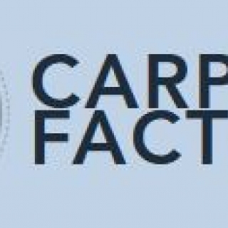 Carport Factory - polnischer  Hersteller hochqualitativer Überdachungen und Abdeckungen aus Profilstahl